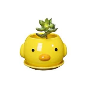 NWT Yellow Duck Planter